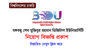 Bangabandhu Sheikh Mujibur Rahman Digital University Job Circular 2024