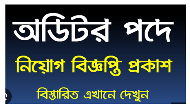 Auditor Job Circular 2024 - TopBDjobs