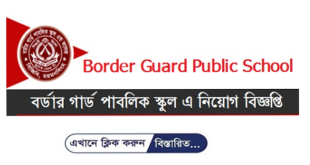 Border Guard Public School Comilla Job Circular 2024