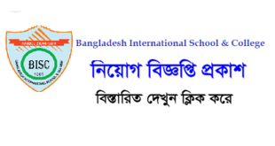 Bangladesh International School and College Job Circular 2024'