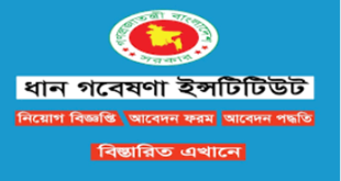 Bangladesh Rice Research Institute Job Circular 2024