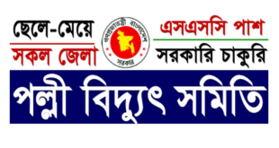 PBS Job Circular Apply Procedure 2024