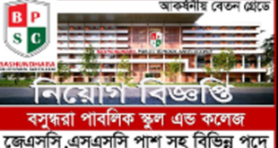 Bashundhara Public School and College Job Circular 2024