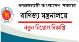 Ministry of Commerce mincom Job Circular 2024