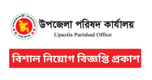 Upazila Nirbahi Officer Job Circular 2025