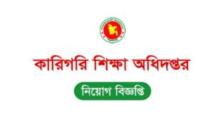 Directorate of Technical Education Job Circular 2025