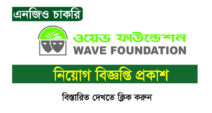 WAVE Foundation Job Circular 2025